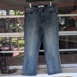 Vintage America Blue Ankle Jeans